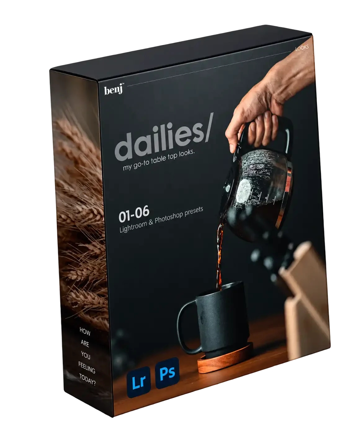 Benj Villena - Dailies Presets for Lightroom